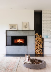 6 Fireplace